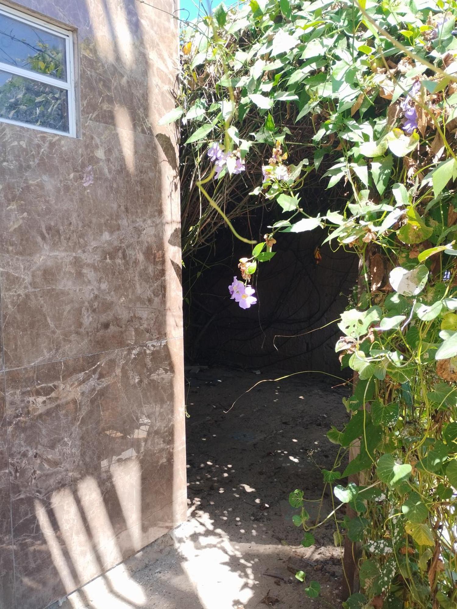 Seomarujo Rent A Room Morro Branco Beberibe Buitenkant foto